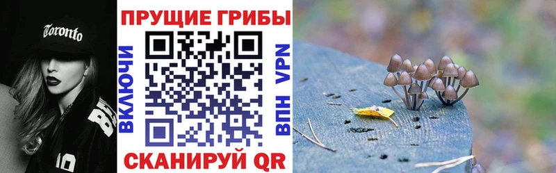 ссылка на мегу ТОР  Цивильск  Галлюциногенные грибы ЛСД 